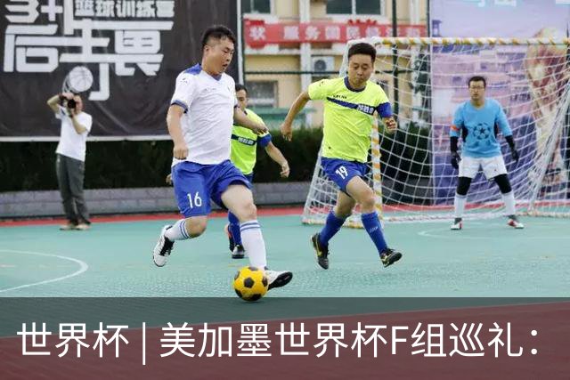 世界杯 | 美加墨世界杯F组巡礼：“死亡之组”的24种排列组合