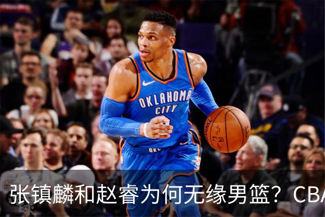 张镇麟和赵睿为何无缘男篮？CBA名记分析，道出2个原因